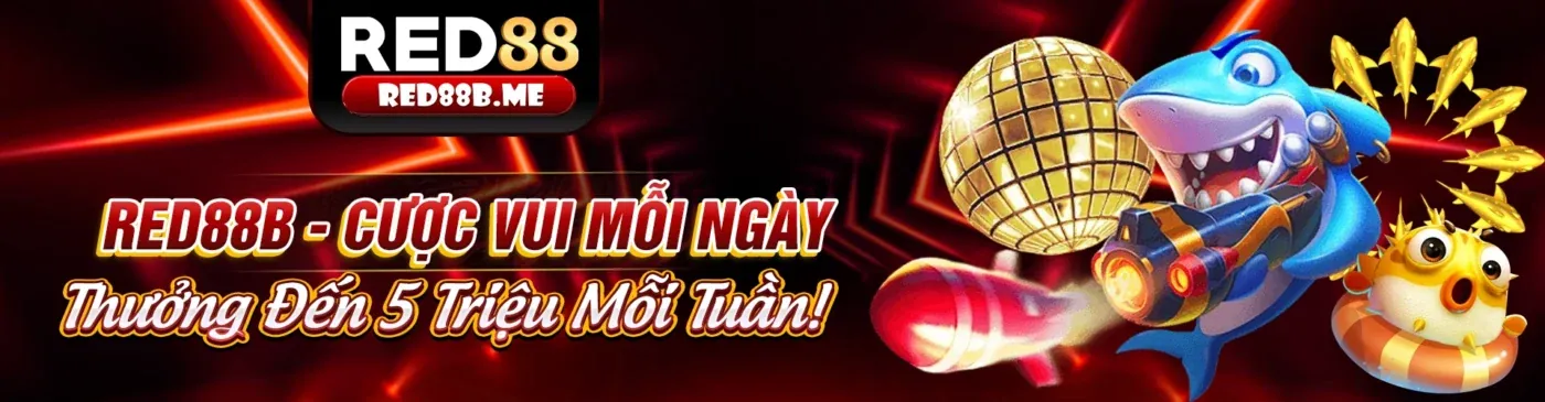 Hình ảnh đại diện cho các điều khoản và điều kiện của w688 win