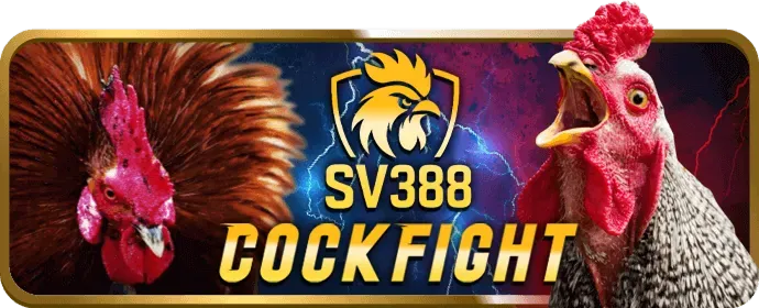 Cá cược Bóng rổ w688 win